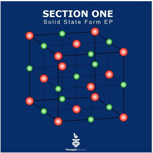 Section One - Solid State Form [PG079]